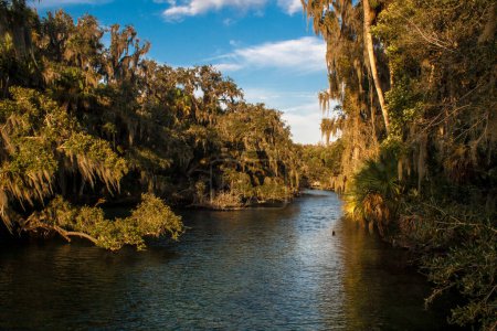 Blue Springs State Park près d'Orlando, Floride