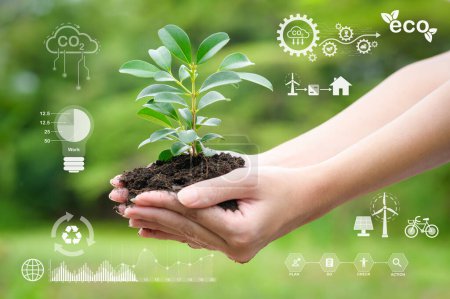 Téléchargez les photos : Gros plan femme main tenant plante, écologique durable, sauver la terre, concept futuriste - en image libre de droit