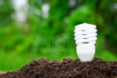 Glühbirne auf grünem Hintergrund, Ökologische Technologie, Save earth concept
