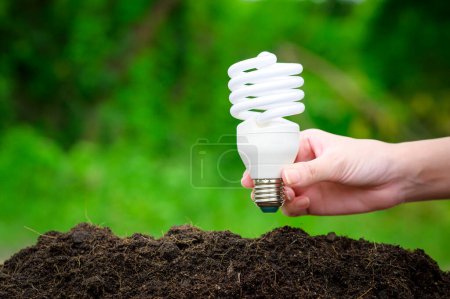 Téléchargez les photos : Ampoule sur fond vert, Technologie écologique, Save earth concept - en image libre de droit