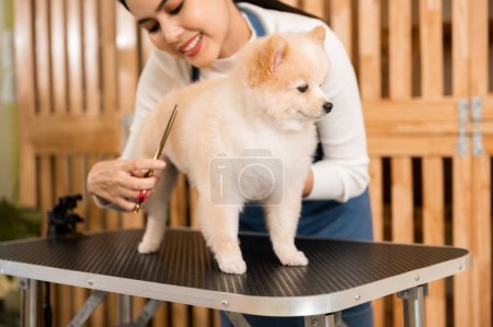 Une femme toiletteuse professionnelle taille chien de coupe au salon de toilettage spa pour animaux de compagnie