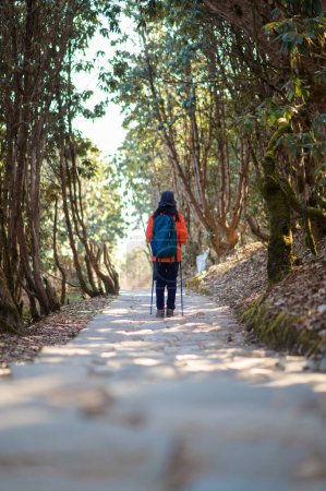 Photo for A young traveller trekking on forest trail , Nepal - Royalty Free Image