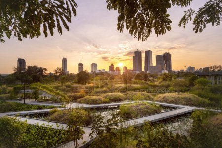 Foto de BANGKOK, TAILANDIA - 03 de enero de 2024: Paisaje urbano al atardecer en el parque forestal de Benchakitti, el Parque Forestal de Benchakitti es un nuevo punto de referencia de Bangkok donde la naturaleza y la ciudad se unen perfectamente. . - Imagen libre de derechos
