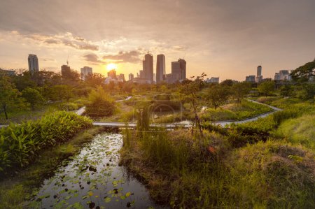 Foto de BANGKOK, TAILANDIA - 03 de enero de 2024: Paisaje urbano al atardecer en el parque forestal de Benchakitti, el Parque Forestal de Benchakitti es un nuevo punto de referencia de Bangkok donde la naturaleza y la ciudad se unen perfectamente. . - Imagen libre de derechos