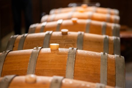 Téléchargez les photos : Vieux tonneaux de vin en bois empilés dans une cave afin - en image libre de droit