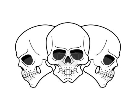 Ilustración de Cráneo anatómico aislado. esqueleto cabeza Vector ilustración - Imagen libre de derechos
