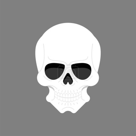Ilustración de Cráneo anatómico aislado. esqueleto cabeza Vector ilustración - Imagen libre de derechos