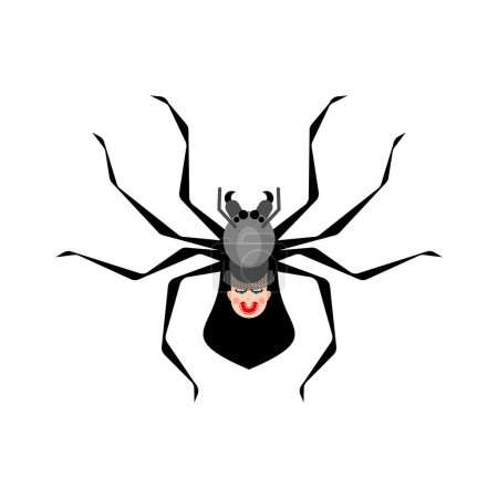 Illustration for Black widow spider isolated. Poisonous dangerous spider. - Royalty Free Image