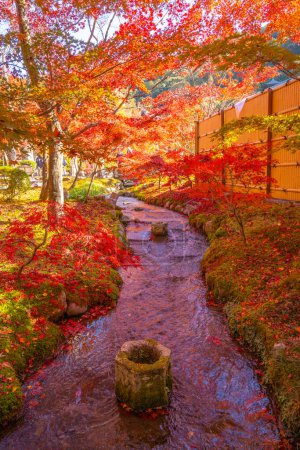 Hojas de otoño en el templo de Eikan-do, Kyoto, Japón