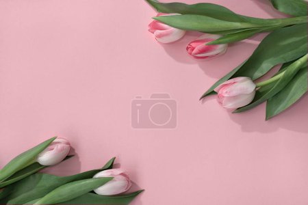 Foto de Aesthetic floral composition, tulip flowers on apastel pink background, greeting card template. Womens day or Mothers day concept. - Imagen libre de derechos