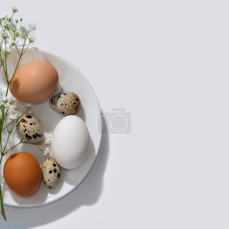 Téléchargez les photos : Assiette blanche avec oeufs de Pâques et fleurs sur un fond neutre clair. Modèle de conception esthétique minimaliste avec espace de copie - en image libre de droit