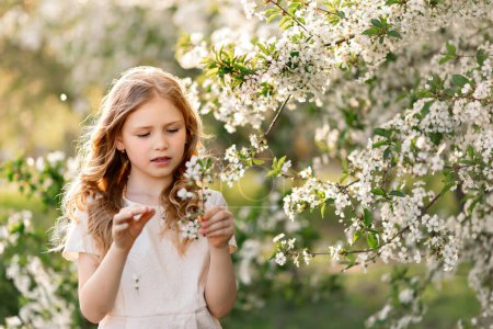 Foto de Hermosa chica de pie en el jardín de flores de cerezo floreciendo primavera y sosteniendo flores - Imagen libre de derechos