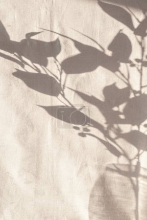 Téléchargez les photos : Floral sunlight shadows on neutral beige cloth,aesthetic minimalist natural background, copy space - en image libre de droit