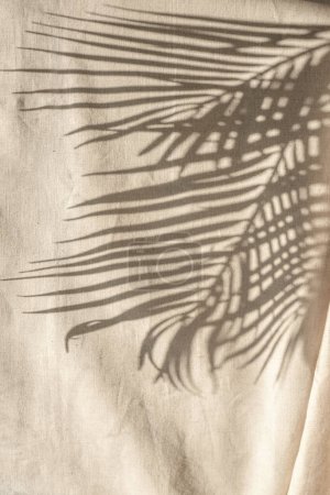 Téléchargez les photos : Tropical palm leaves sunlight shadows on a neutral beige cloth. Aesthetic minimalist floral background. Copy space - en image libre de droit