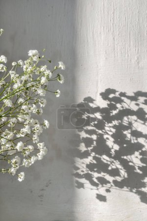 Téléchargez les photos : White flowers and floral sunlight shadows on a wall, sun and shadow concept, summer rustic background - en image libre de droit