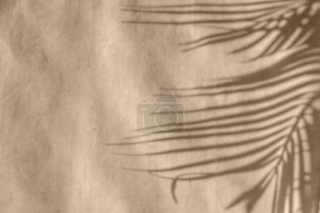 Téléchargez les photos : Tropical palm leaves sunlight shadows on a neutral beige textile, aesthetic minimalist summer background - en image libre de droit
