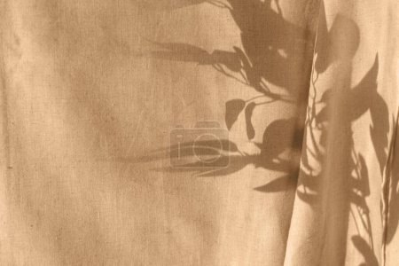 Téléchargez les photos : Ombre solaire florale sur un rideau beige. Silhouette du feuillage à la lumière du coucher du soleil. Esthétique fond naturel avec espace de copie - en image libre de droit