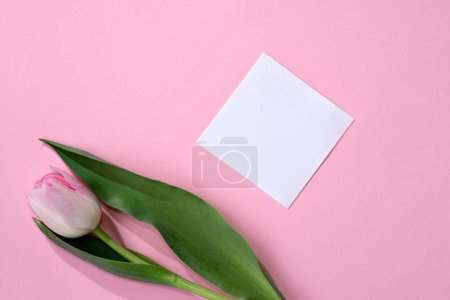 Foto de Tarjeta de papel vacía y tulipán sobre un fondo rosa, maqueta minimalista de vacaciones o plantilla, espacio para copiar - Imagen libre de derechos