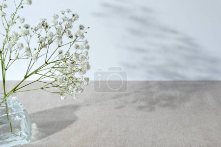 Photo for White gypsophila flower bouquet in glass vase on a table with light neutral background and sunlight shadows, minimalist template with copy space - Royalty Free Image