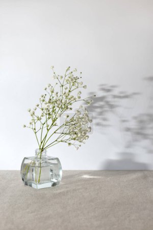 Téléchargez les photos : Bouquet de fleurs de gypsophile blanc dans un vase en verre sur une table, ombres de lumière du soleil sur fond mural blanc, composition minimaliste esthétique nature morte, espace de copie - en image libre de droit