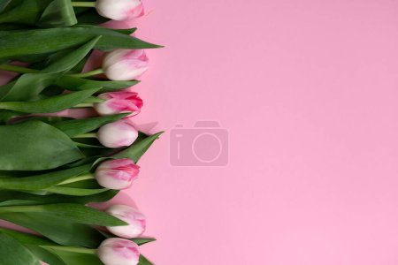 Photo for Floral bouquet of tulips on a pink background, spring holiday mock up with copy space - Royalty Free Image