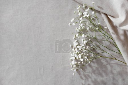 Photo for Minimalist natural textile beige background with a gypsophila flowers, copy space - Royalty Free Image