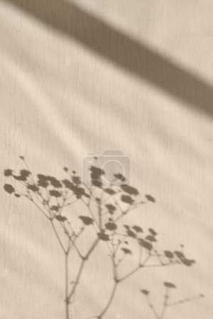Foto de Sombras de luz solar borrosas de flores sobre un textil beige neutro, fondo de verano minimalista estético - Imagen libre de derechos