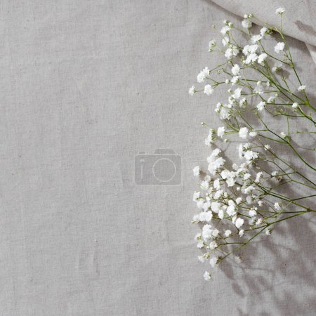 Foto de Fondo natural floral minimalista estético, flor de gypsophila blanca en un mantel neutro de textura de lino beige, disposición plana, espacio para copiar - Imagen libre de derechos