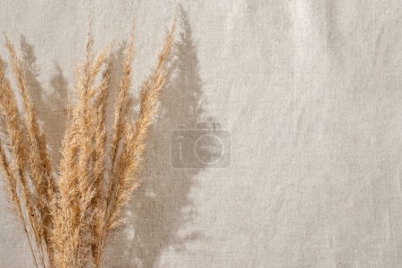 Téléchargez les photos : Bouquet de tiges de prairie séchées sur toile de lin beige neutre, fond d'été esthétique avec ombres ensoleillées, gabarit avec espace de copie - en image libre de droit
