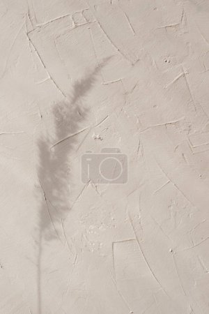 Photo for Meadow grass spikelet silhouette on a neutral beige textured wall, minimalist elegant floral sunlight shadow background, aesthetic summer greeting card or wedding invitation template - Royalty Free Image