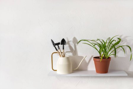 Téléchargez les photos : Style de vie minimaliste concept de jardinage à la maison, plante maison en pot et arrosoir avec bêches et râteau debout sur une étagère sur un fond blanc, espace de copie - en image libre de droit