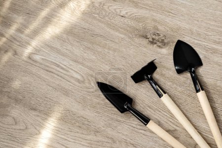 Photo for Minimalist gardening concept, hand tools set for garden, agriculture work or indoor gardening, spades and rake on a wooden background with sunlight shadows, flatlay, copy space - Royalty Free Image