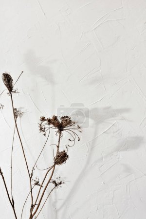 Foto de Elegante ramo de flores del prado con sombras de luz solar sobre un fondo de pared beige neutro, tarjeta de felicitación floral estética minimalista, plantilla de diseño de invitación de boda - Imagen libre de derechos