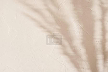 Foto de Sombras de luz de sol floral borrosa, silueta de hierba de prado sobre un fondo de pared de hormigón beige neutro texturizado, espacio de copia - Imagen libre de derechos