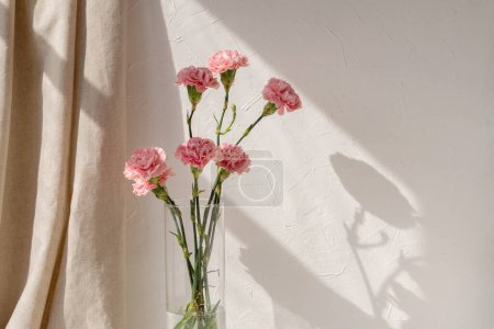 Téléchargez les photos : Bouquet de fleurs d'oeillet dans un vase sur un mur vide beige neutre et rideau de lin avec fond d'ombre de soleil floral esthétique, décor intérieur de la maison de printemps ou d'été - en image libre de droit