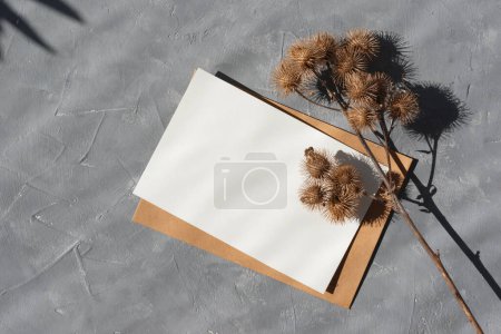 Foto de Fondo boho estético con flor de bardana seca, maqueta de tarjeta de papel en blanco con espacio de copia, plantilla de marca comercial neutra mínima - Imagen libre de derechos