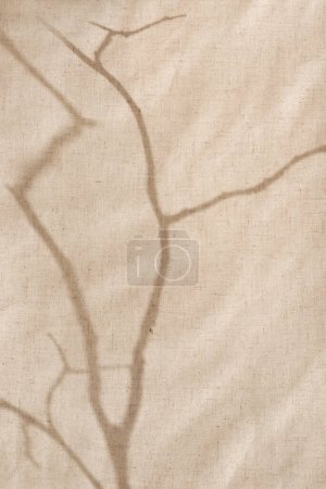 Foto de Sombras de sol abstractas de ramas de árboles sobre un tejido de lino beige, fondo boho estético con silueta de sombra de tallos - Imagen libre de derechos
