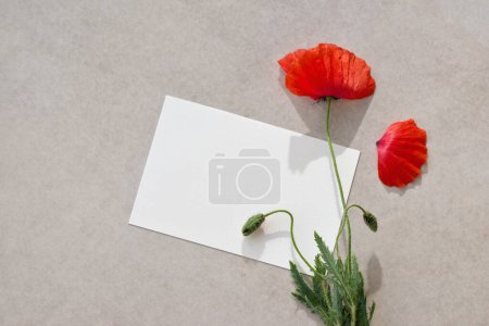 Foto de Tarjeta de papel en blanco con espacio para copiar, flor de amapola roja sobre un fondo beige neutro, postal floral minimalista estética, plantilla de marca comercial - Imagen libre de derechos
