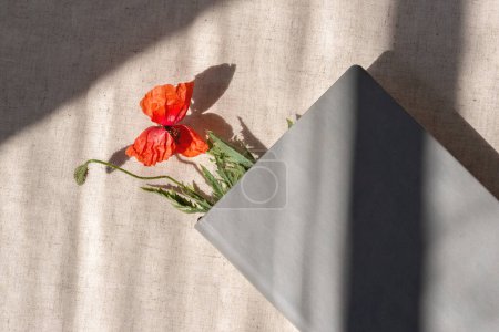 Foto de Boho estético boho verano bodegón, cuaderno o libro con cubierta gris vacía maqueta y marcador de flores de amapola roja, sobre un fondo beige neutro con sombras abstractas de luz solar - Imagen libre de derechos