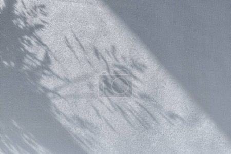 Téléchargez les photos : Esthétique minimaliste fond naturel d'été avec ombre de soleil floue de prairie herbe sur un rideau gris bleu neutre, espace de copie - en image libre de droit