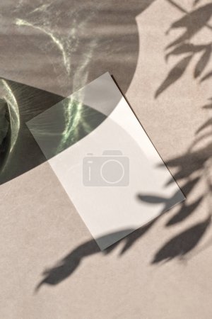 Téléchargez les photos : Modèle de carte papier vide avec espace de copie sur un fond beige neutre avec ombre solaire florale esthétique, modèle de marque d'entreprise durable, conception d'invitation de mariage - en image libre de droit