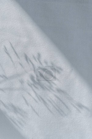 Foto de Fondo de textura de tela de seda crepé azul claro neutro con suaves sombras florales de luz solar de una hierba de pradera - Imagen libre de derechos