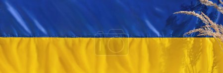 Téléchargez les photos : Drapeau ukrainien bannière, jaune bleu tissu de soie plié texture fond avec des épillets de prairie et des ombres de lumière du soleil. Symbole national de l'Ukraine pays, gouvernement. Jour de l'indépendance, un concept de liberté - en image libre de droit