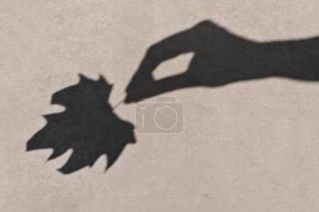 Foto de Hoja en las mujeres mano silueta sombra de la luz del sol sobre un fondo beige neutro. Estética minimalista otoño, concepto de otoño - Imagen libre de derechos