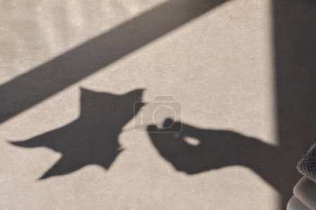 Foto de Mano de mujer sosteniendo hoja de otoño, silueta de sombra de luz solar sobre un fondo beige neutro. Estilo de vida estética minimalista otoño concepto - Imagen libre de derechos