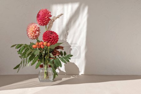 Téléchargez les photos : Beau bouquet de fleurs d'automne avec dahlia rouge, rose et baies orange en vase sur la table. Ombre solaire esthétique sur fond de mur neutre vide, espace de copie, arrangement de mariage ou de vacances - en image libre de droit