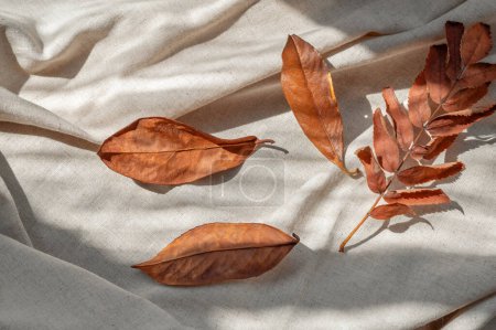 Photo for Autumn neutral lifestyle background with messy fall dry orange leaves on beige crumpled linen fabric with aesthetic sunlight shadows. - Royalty Free Image
