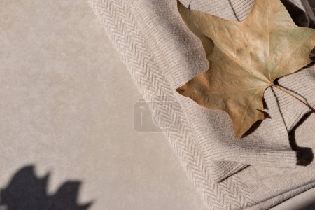 Foto de Suéteres de punto beige neutro sobre fondo beige con hojas de otoño y sombras de luz solar. Otoño acogedor fondo neutral, concepto de armario de ropa de mujer, estilo de vida. - Imagen libre de derechos