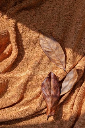 Foto de Fondo de colores de otoño. Hojas de otoño marrón sobre naranja, tejido de punto arrugado de terracota fondo con estilo de vida estético sombras de luz solar. - Imagen libre de derechos