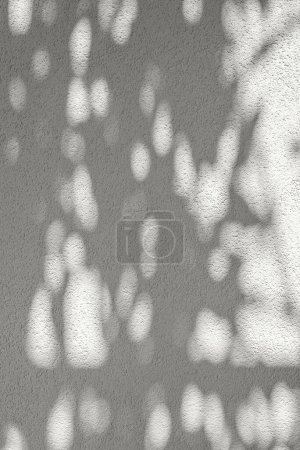 Foto de Sombra de luz solar de hoja doblada abstracta estética sobre una textura de pared de hormigón beige neutro. Fondo de pared vacío, maqueta minimalista de diseño de interiores sostenible, plantilla de marca de negocio - Imagen libre de derechos